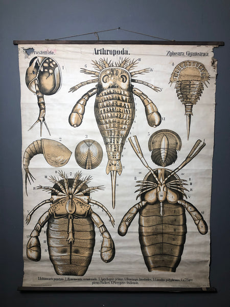 "Paleontological Wall Painting by Karl Alfred von Zittel (1839-1904)"